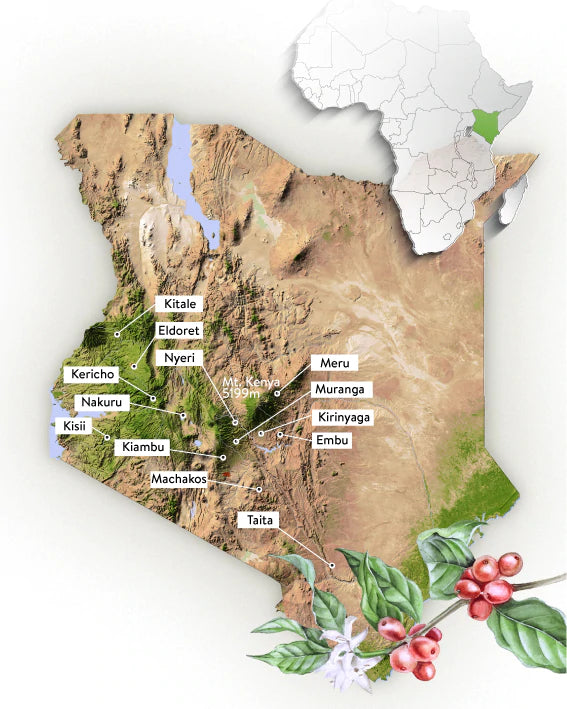 Kenya AA