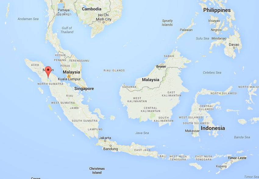 Sumatra Mandheling